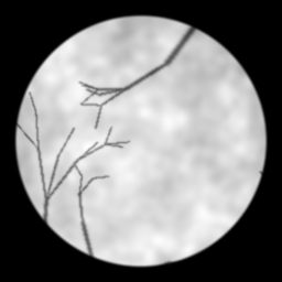 Measurement II