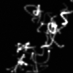 Measurement II
